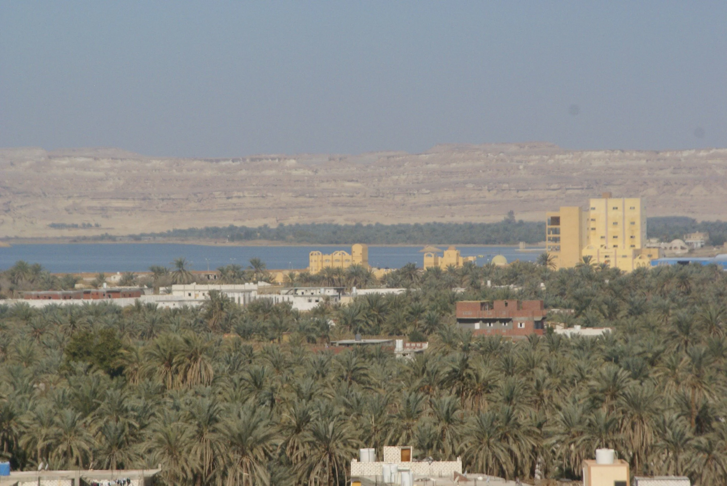 oasis.webp