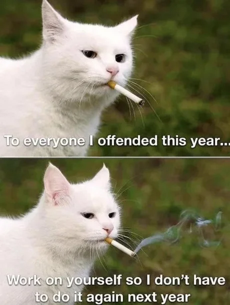 Offended.webp