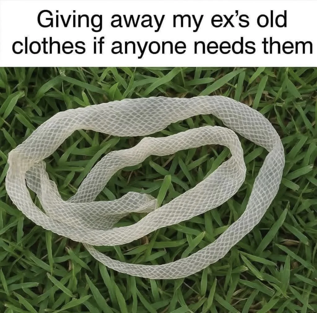 Old Clothes.webp