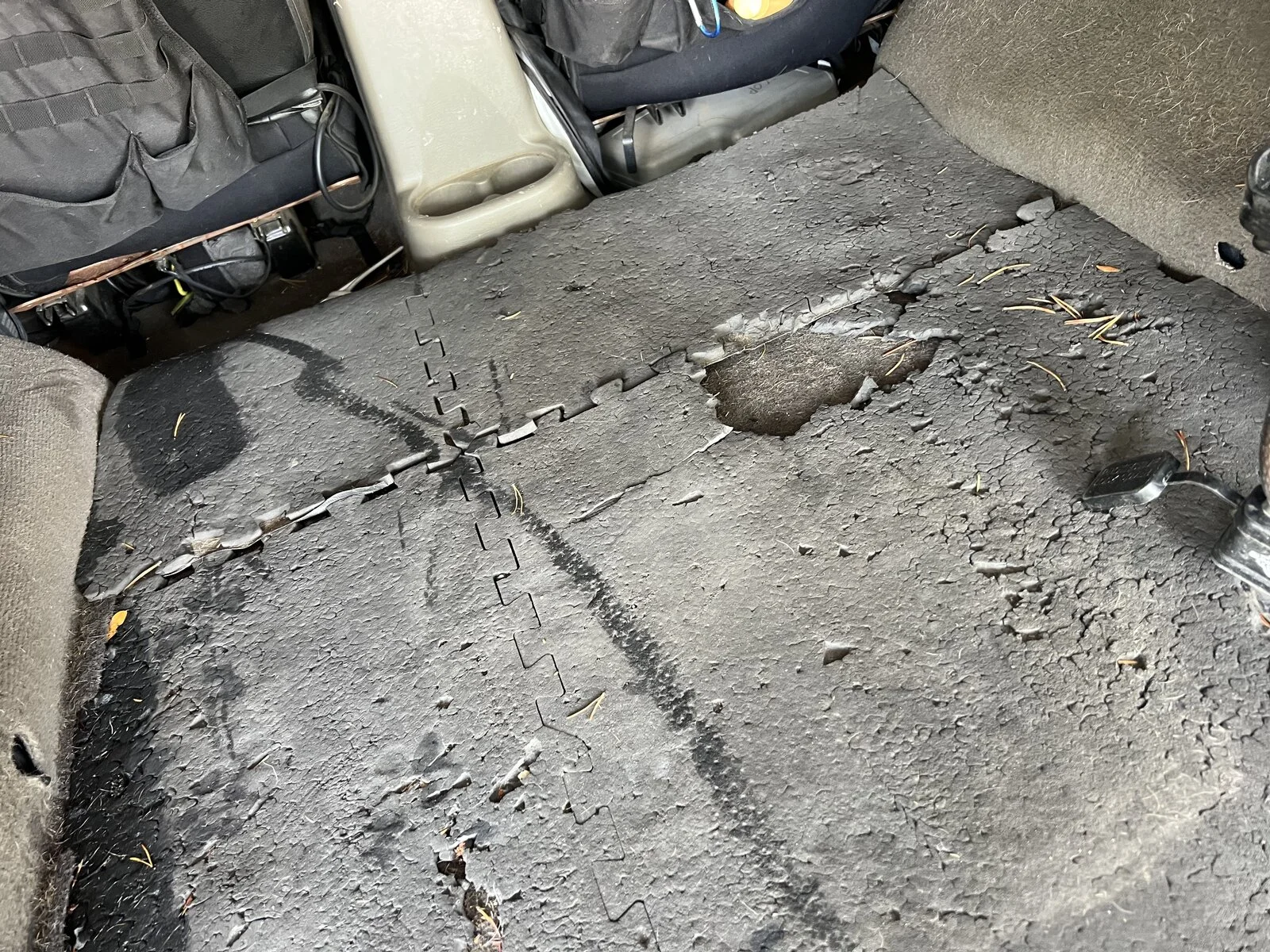 old haggard, chewed up, floor mat.webp