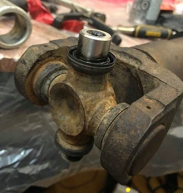 Old Pinion.webp