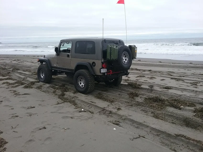 On the beach at Samoa Dunes.webp