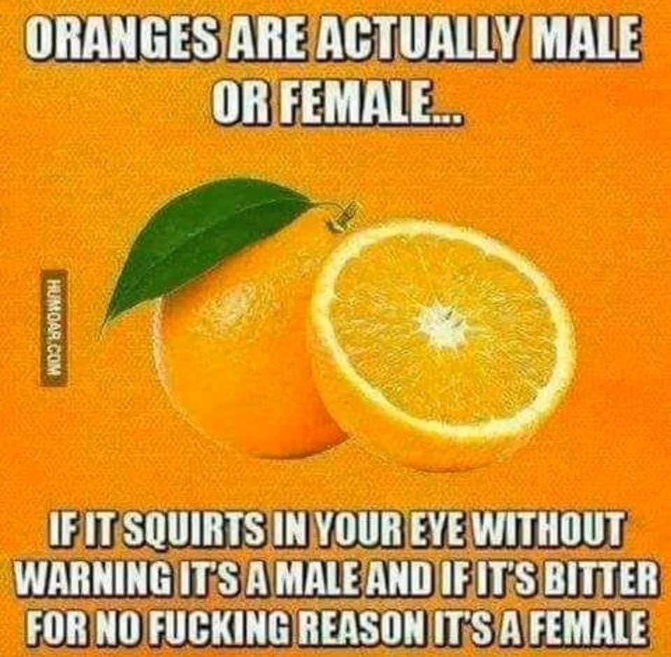 orange.webp