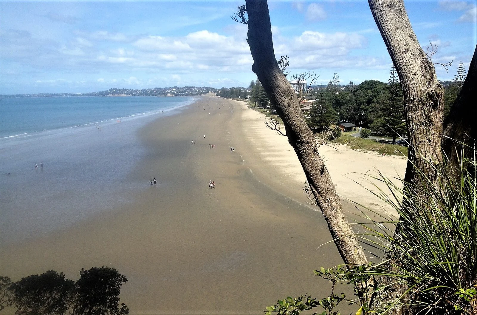 orewa2.webp