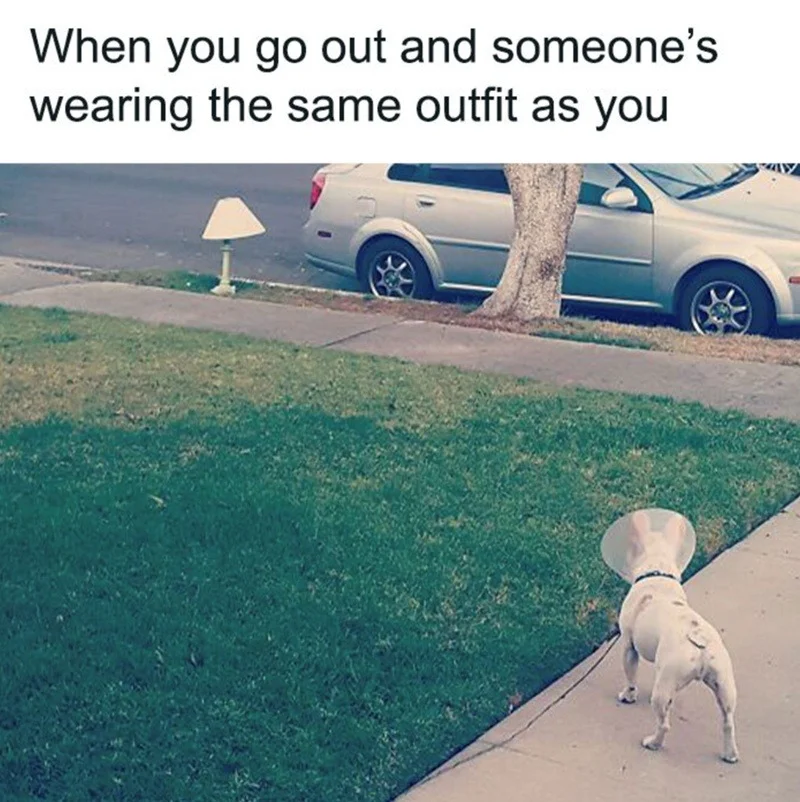 Outfit.webp