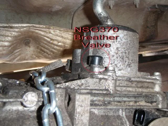 P2170117_a.webp