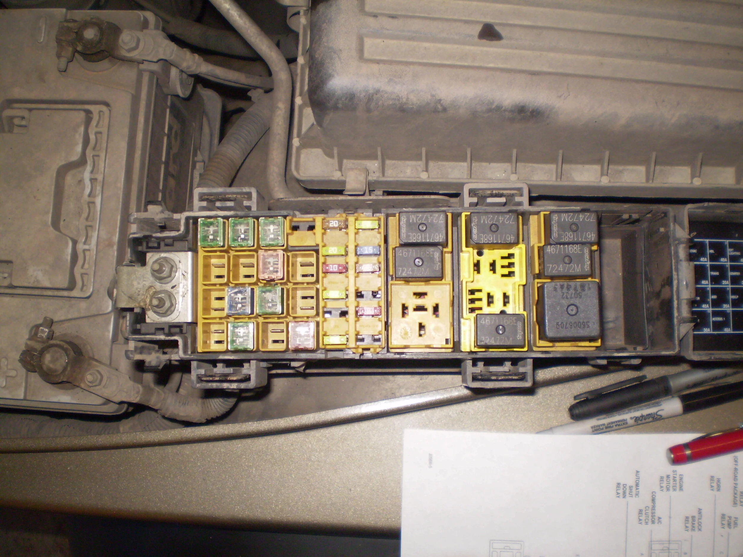 PA310031.webp