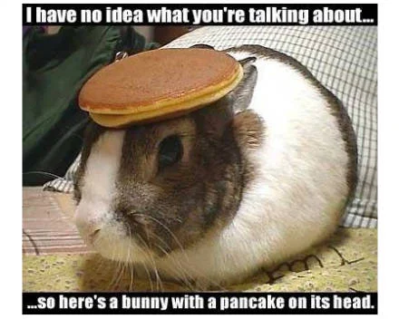 pancakebunny.webp