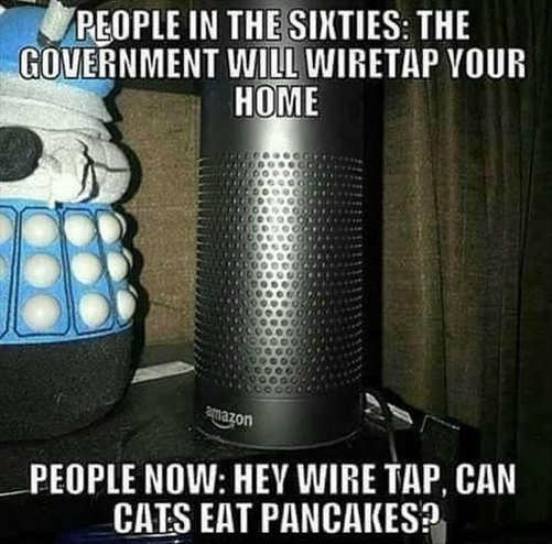 people-in-60s-government-will-wiretap-your-home-now-hey-wiretap-can-cats-eat-pancakes.jpg