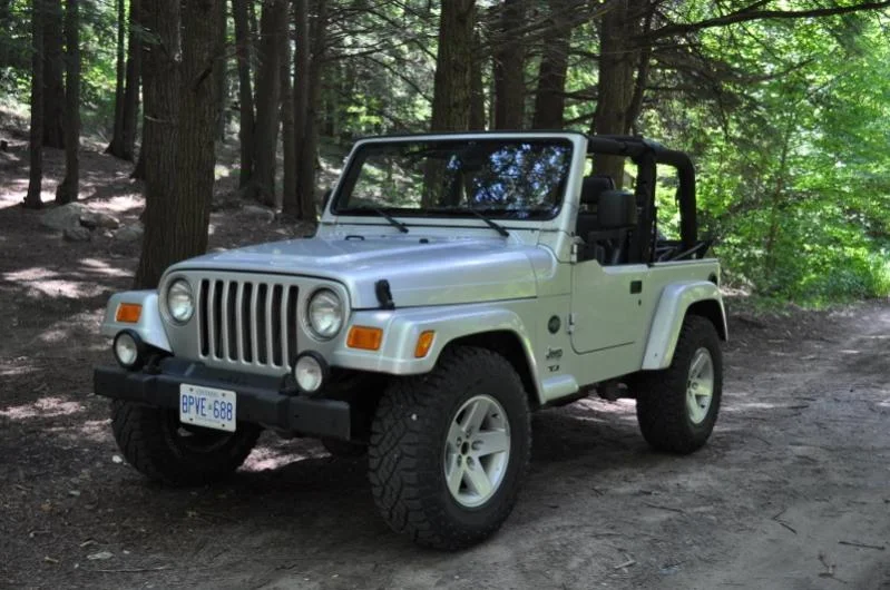 picture.webp