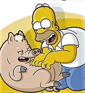 pig.webp