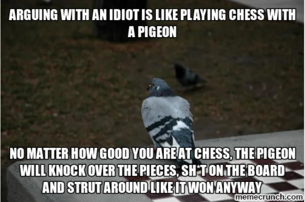 pigeon for idiots.webp