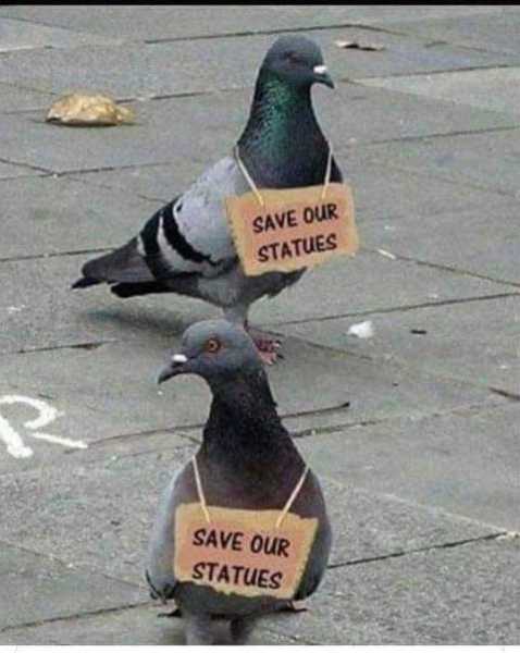 pigeons-save-our-statues-sign.jpg