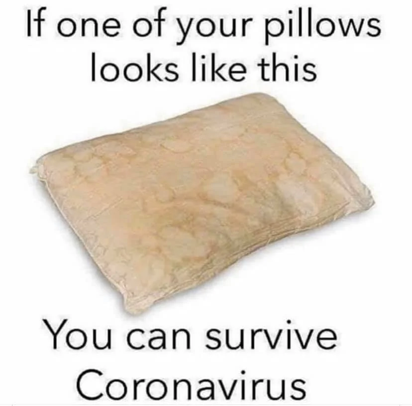 pillow.webp