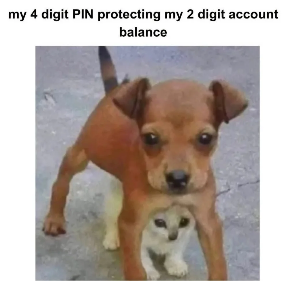 PIN.webp