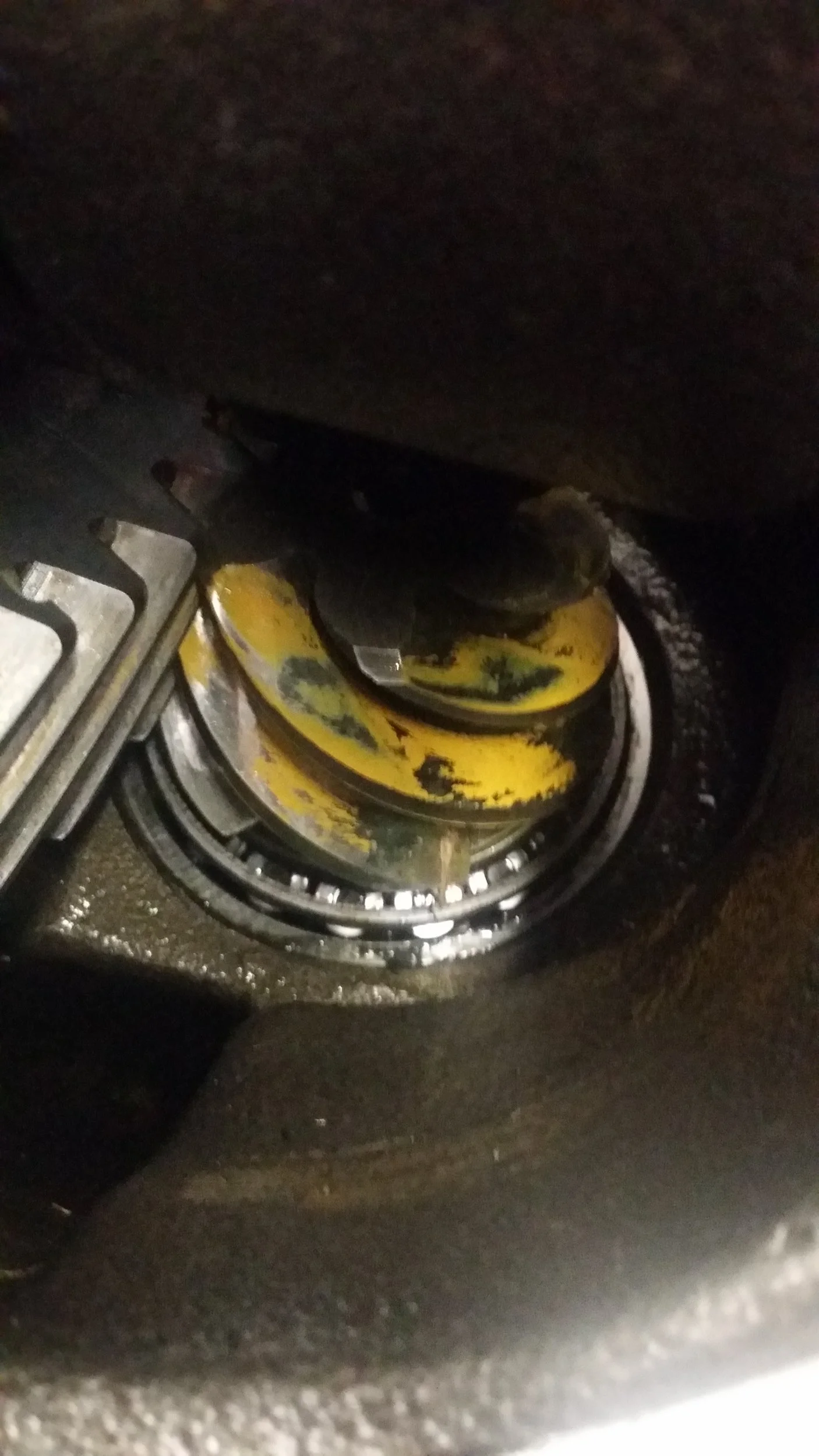 Pinion.webp