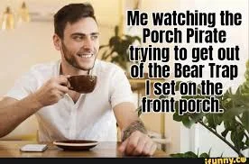 pirate.jpg