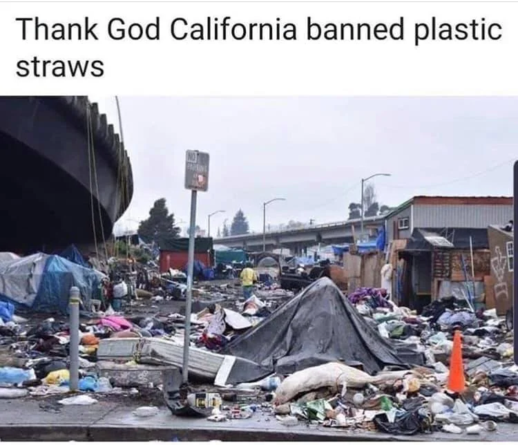 plastic straws.webp