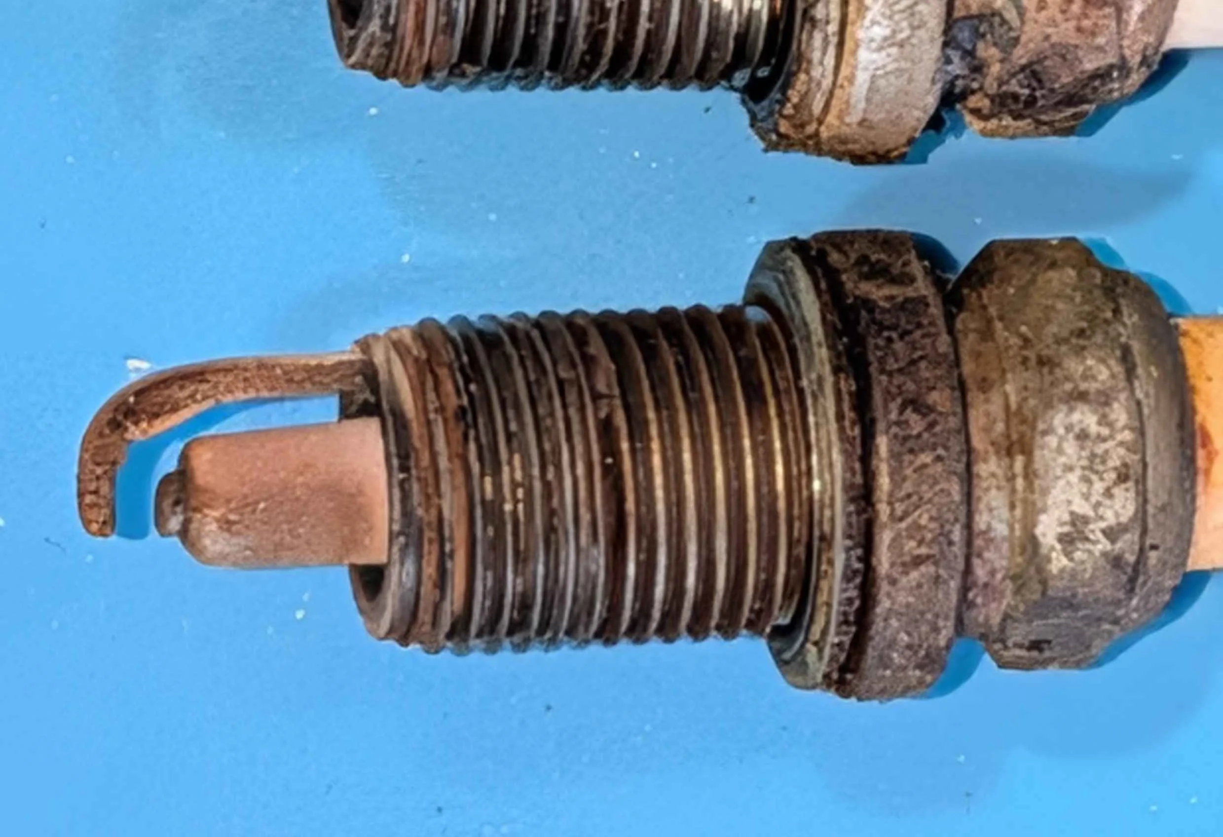 Plug 6 closeup.webp