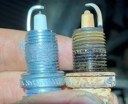 Plugs.webp