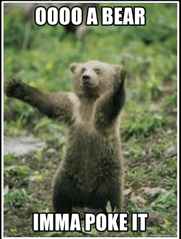 Poke the Bear.webp