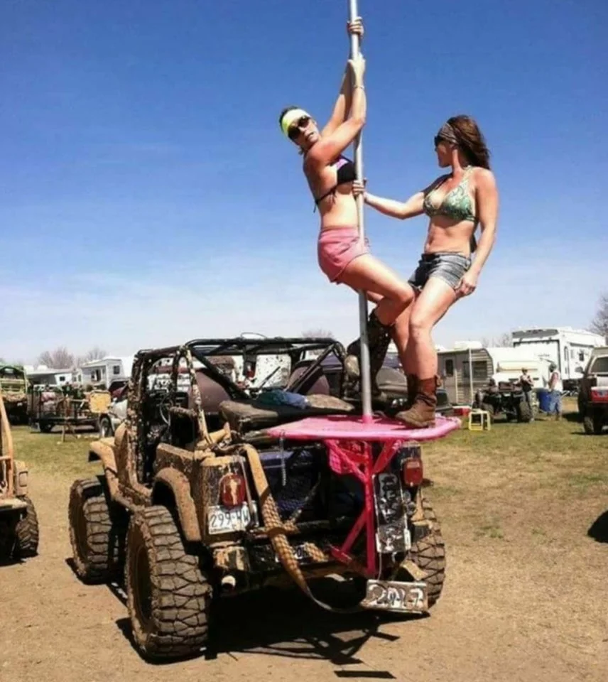 POLE DANCER.webp