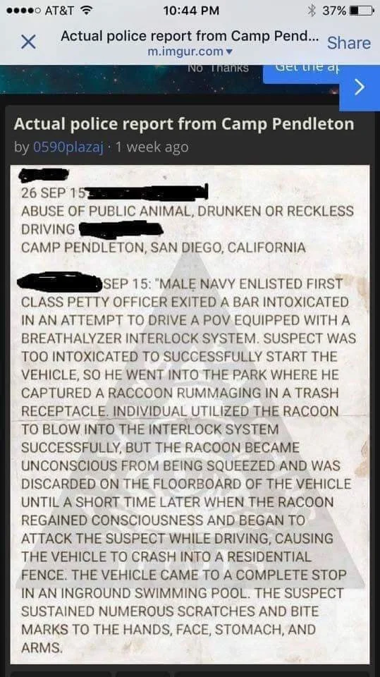 Police Report.webp