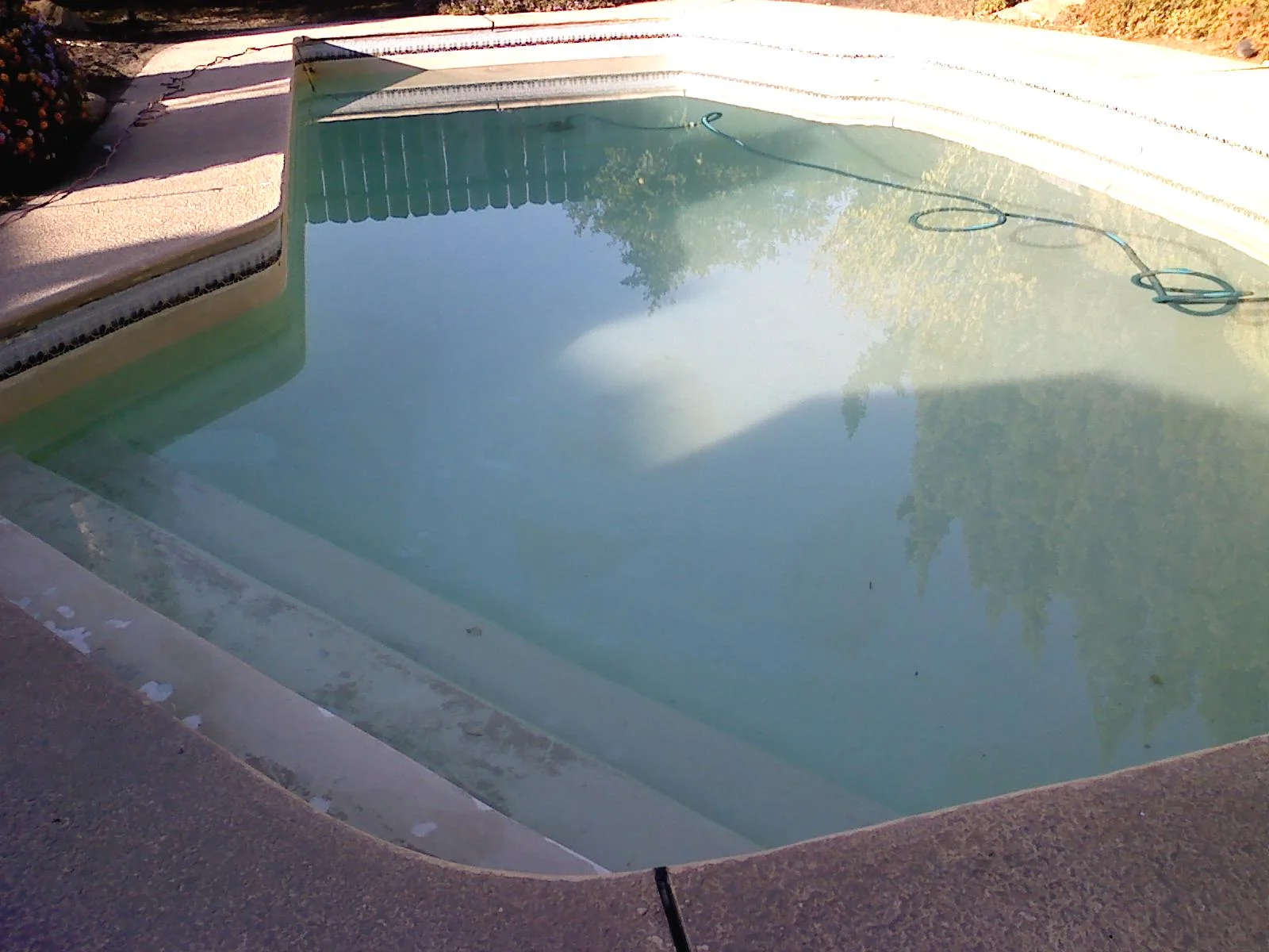 pool4.webp