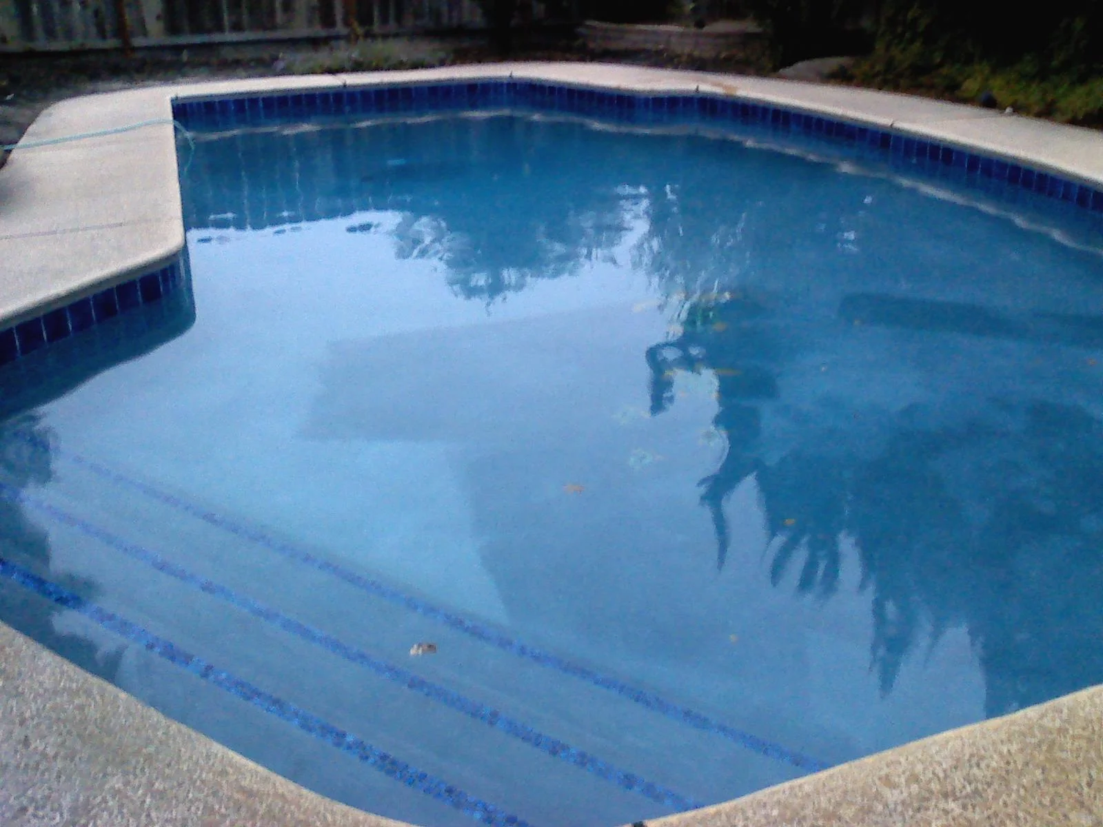pool5.webp