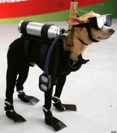 Prepared.jpg