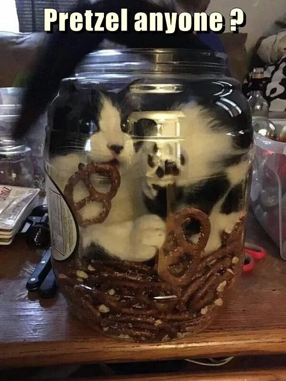 pretzel-anyone.webp
