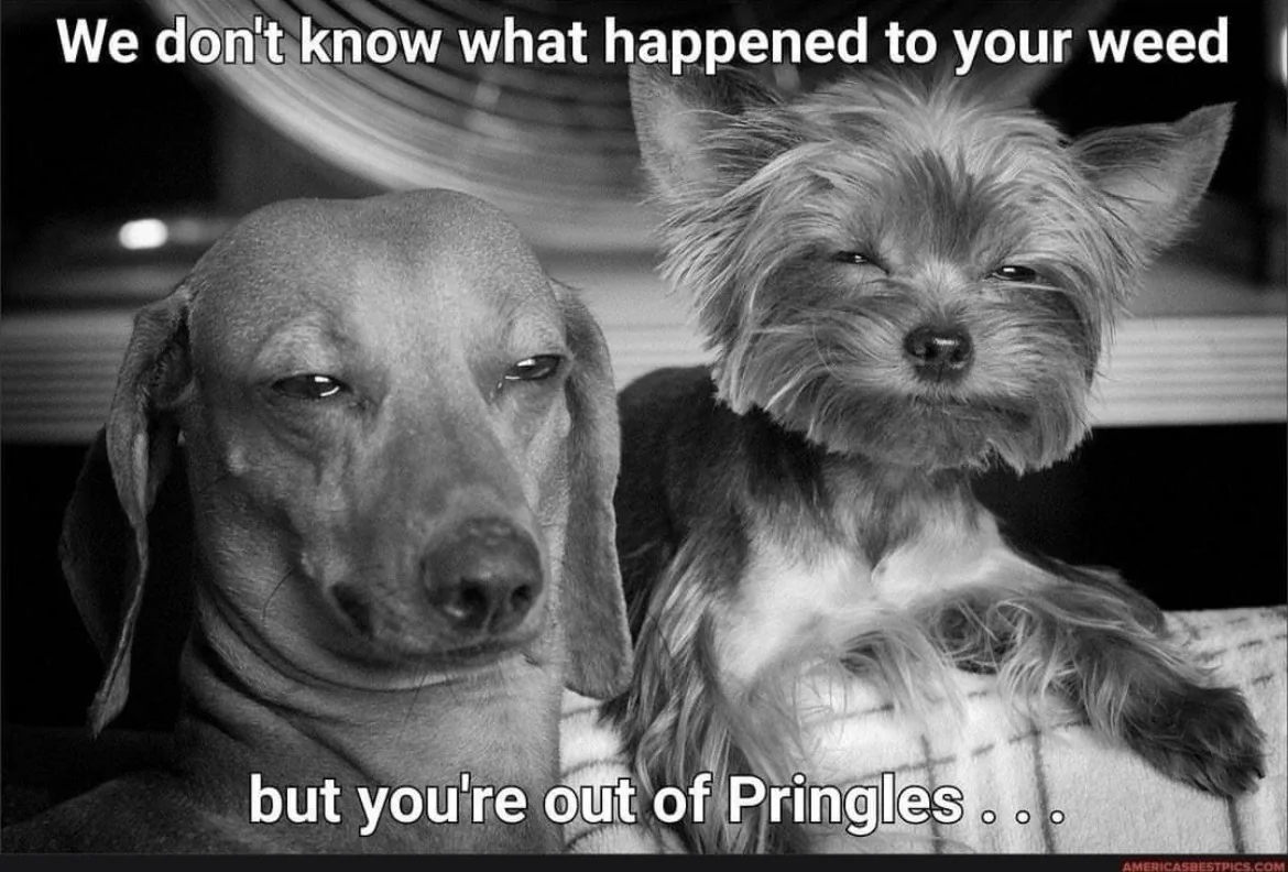Pringles.webp