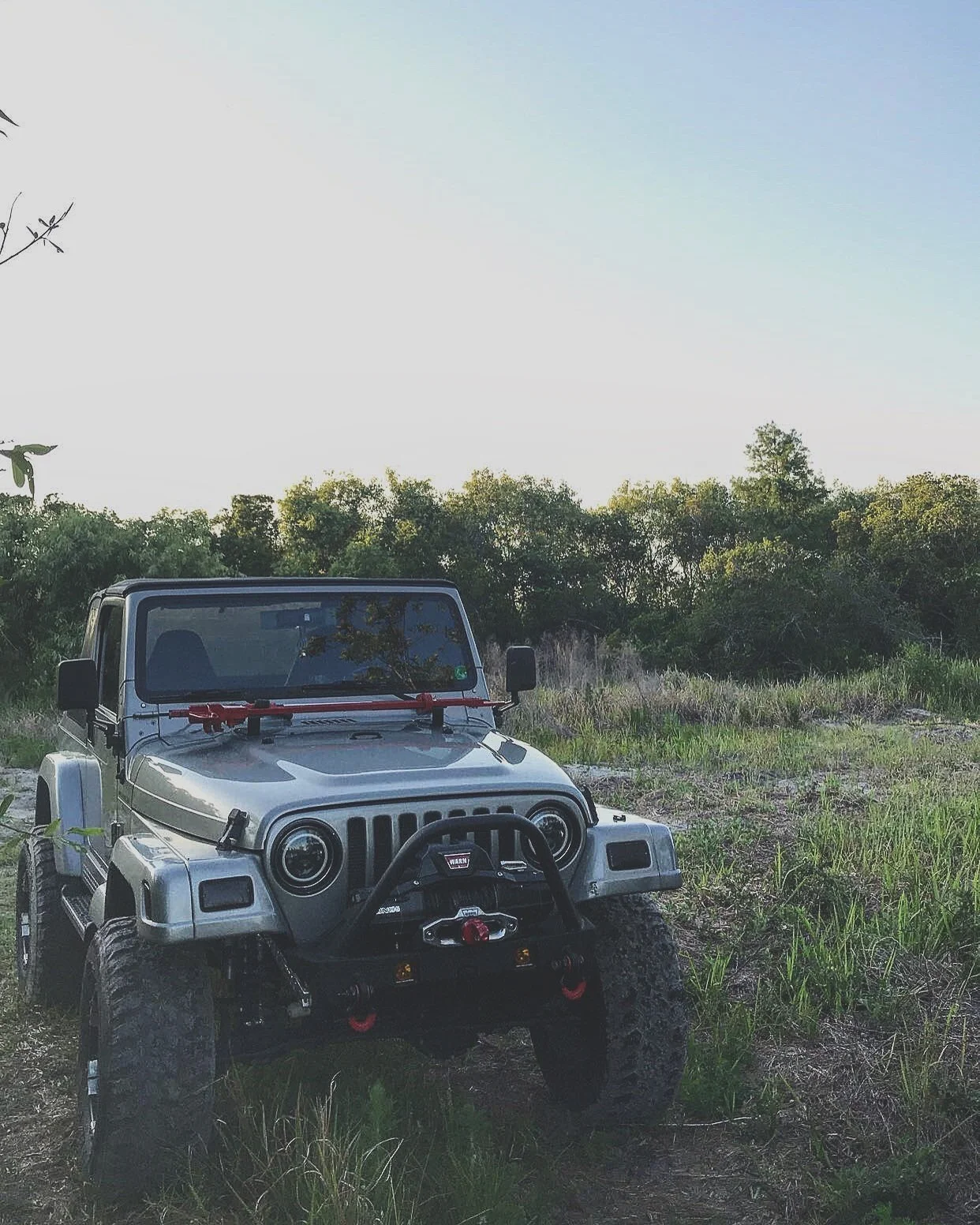 Project tj 1.webp
