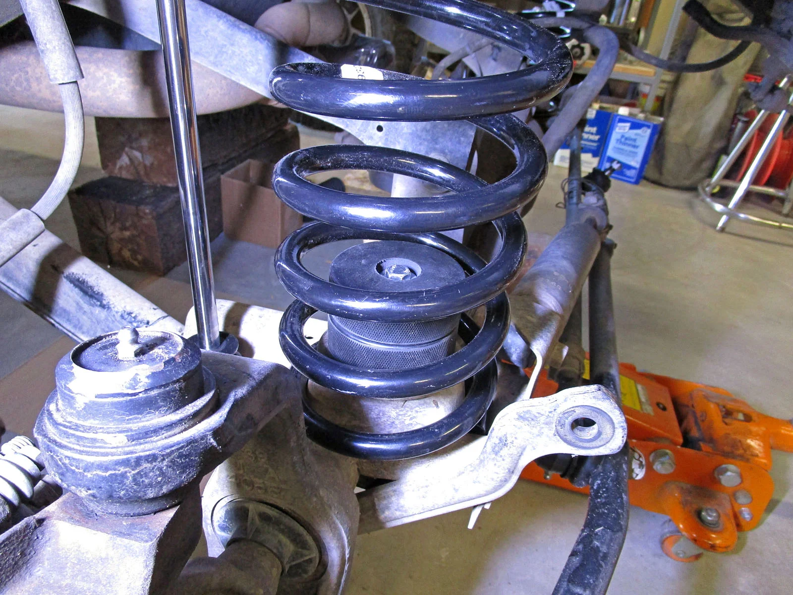 Pucks_02.webp
