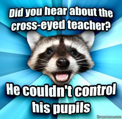 pupils.webp
