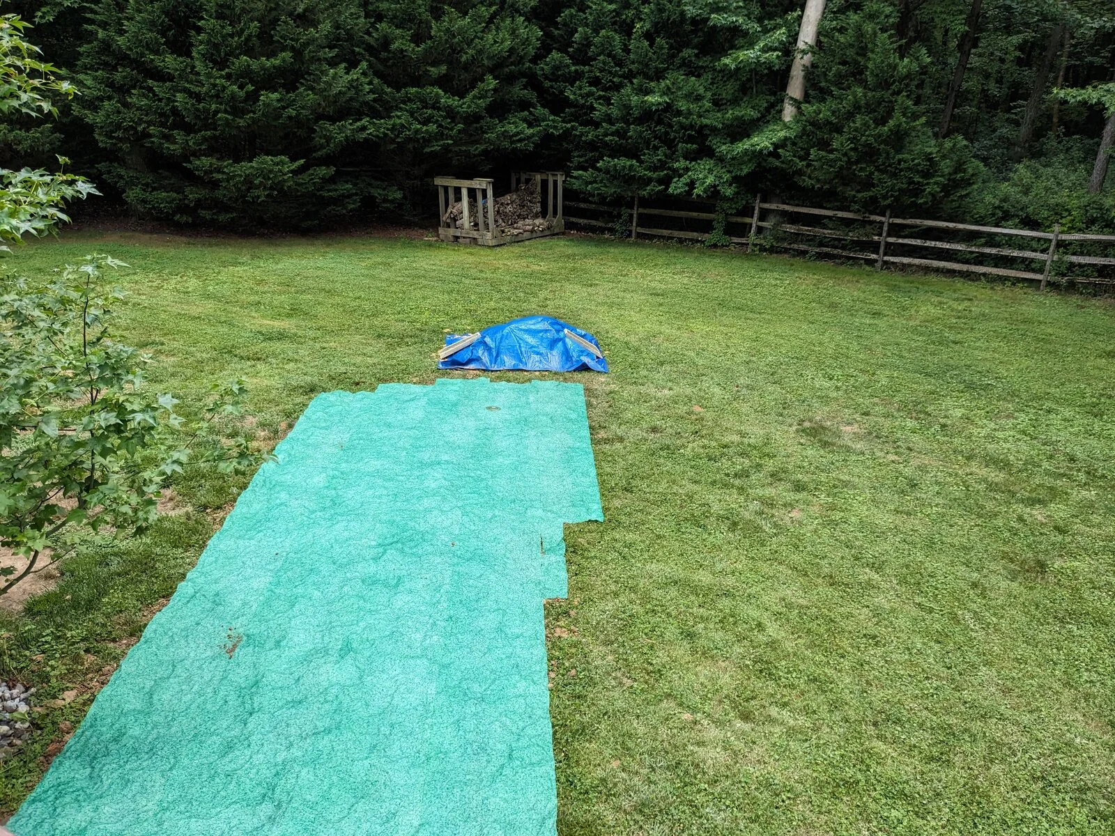 PXL_20230702_190626161.webp