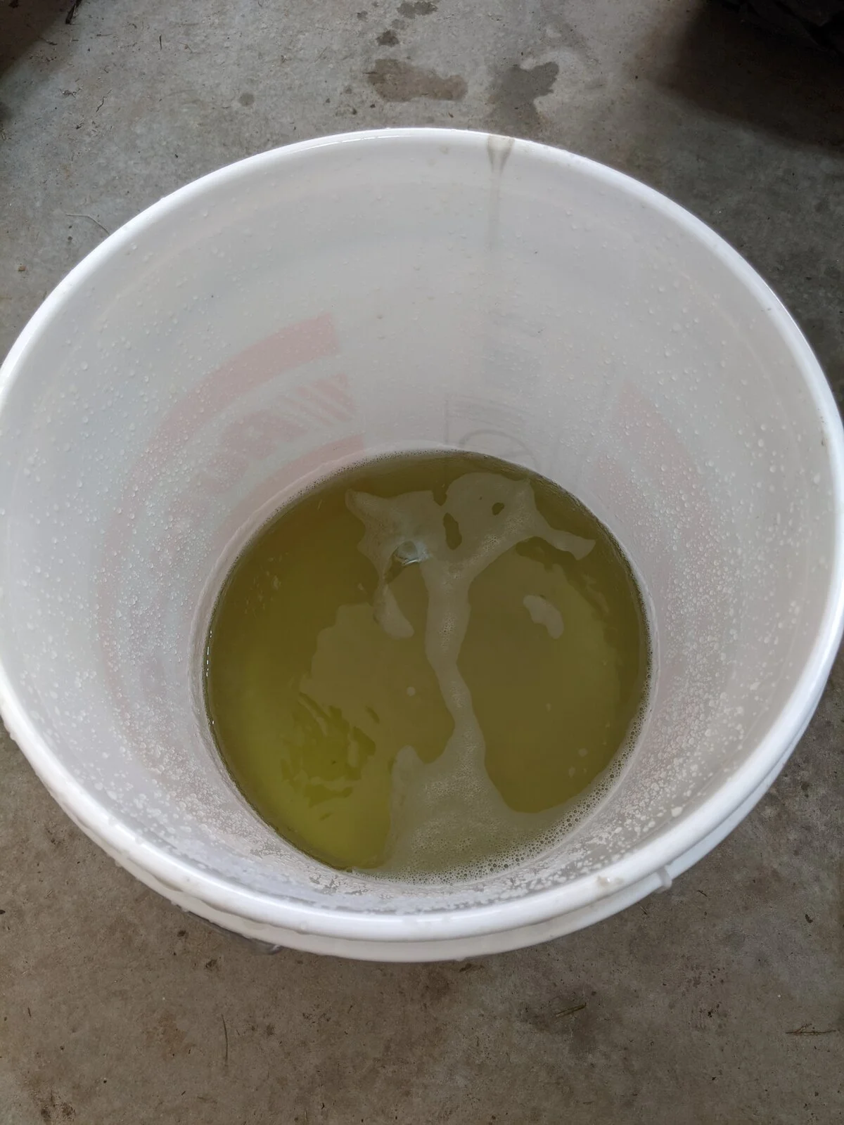PXL_20230723_204509555.jpg