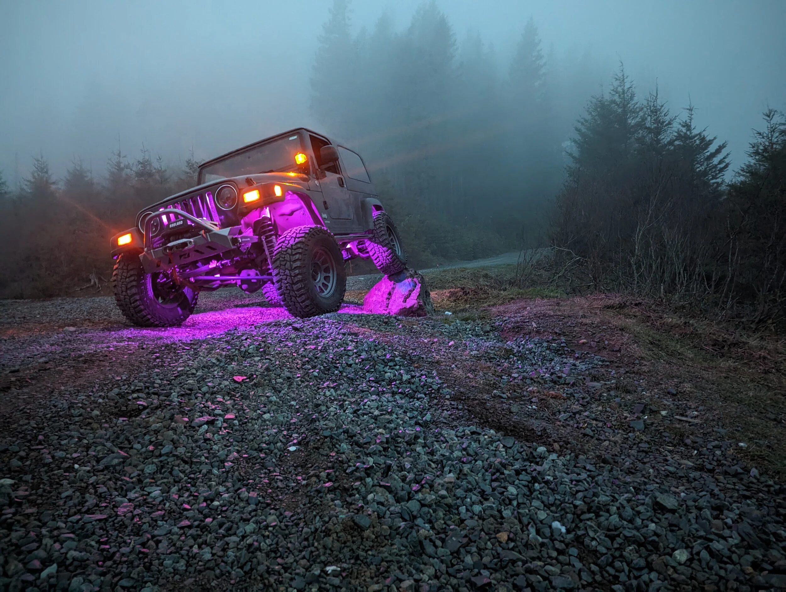 PXL_20240225_143350194.NIGHT.webp