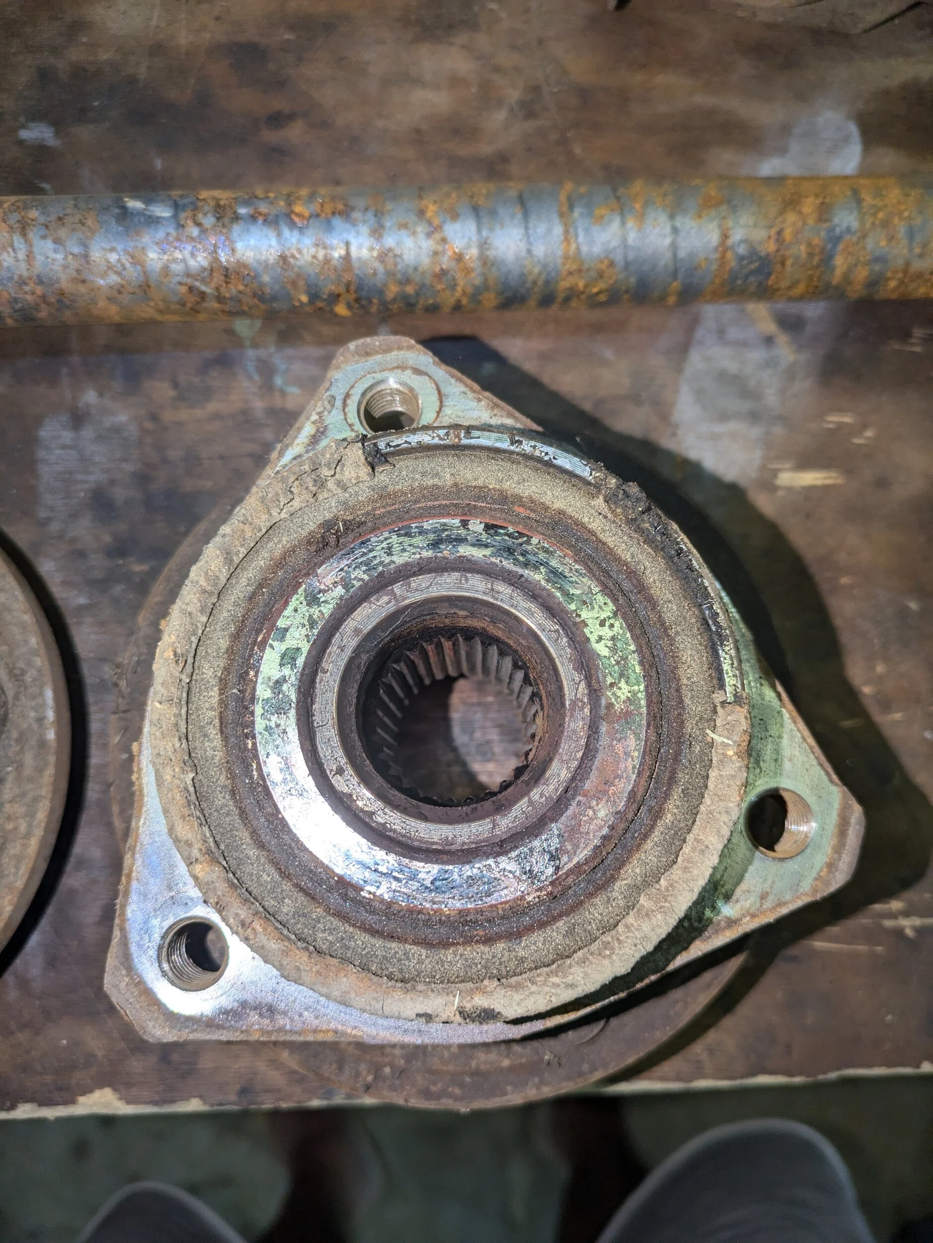 PXL_20240708_033138366.jpg