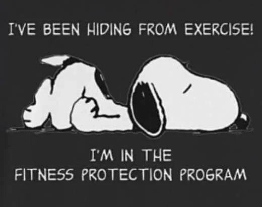 py-hiding-from-exercise-fitness-protection-program.webp