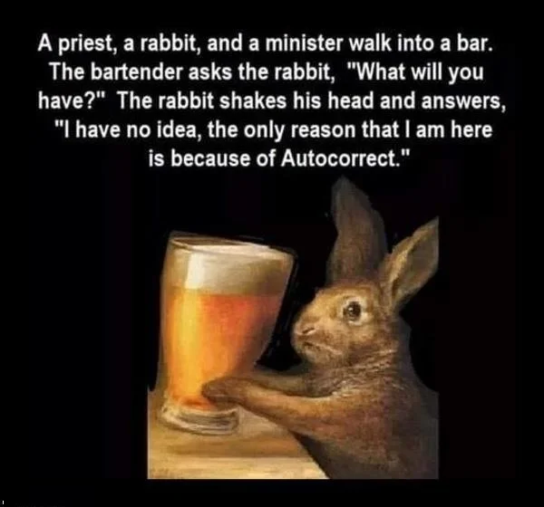 Rabbit.webp