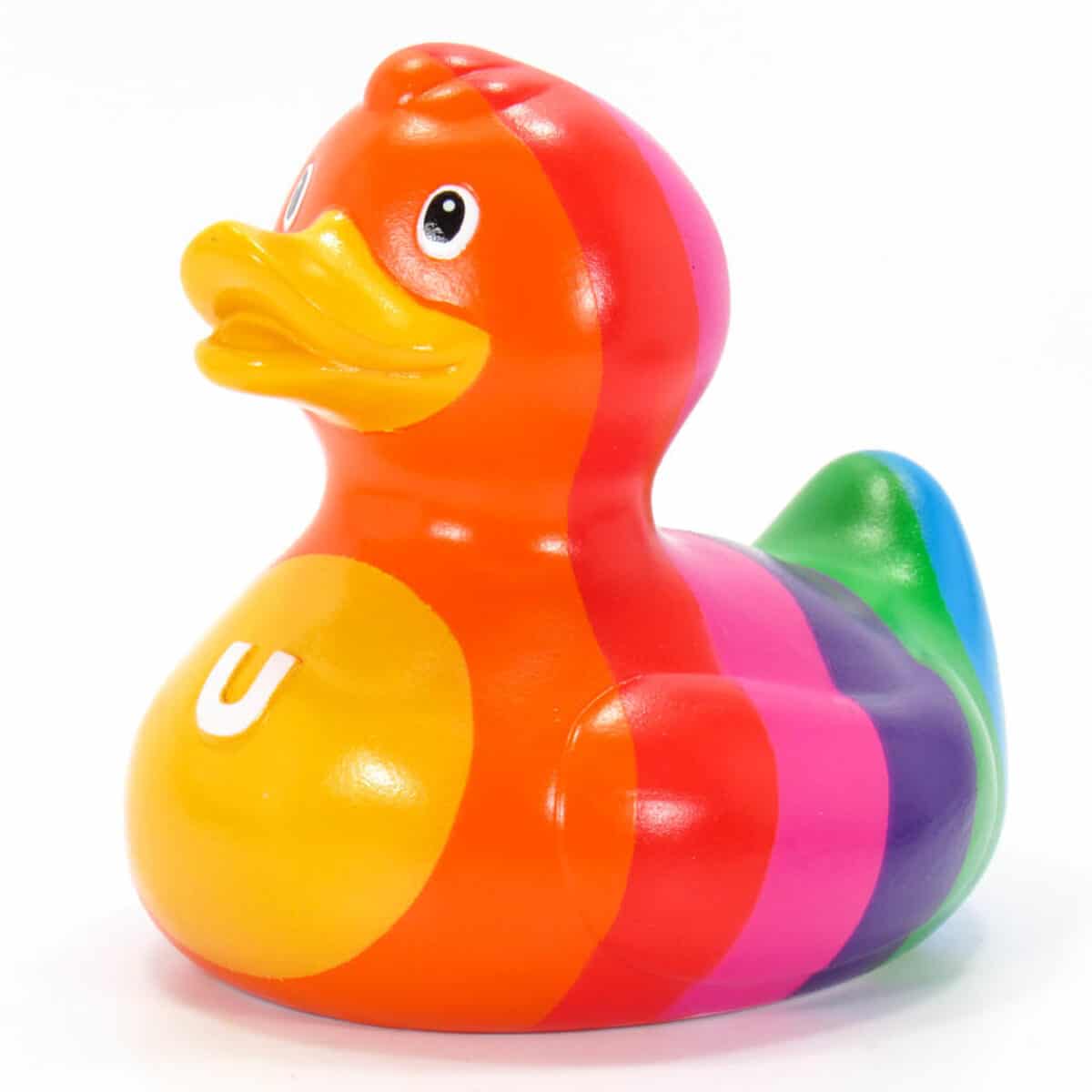 rainbow duck.jpg