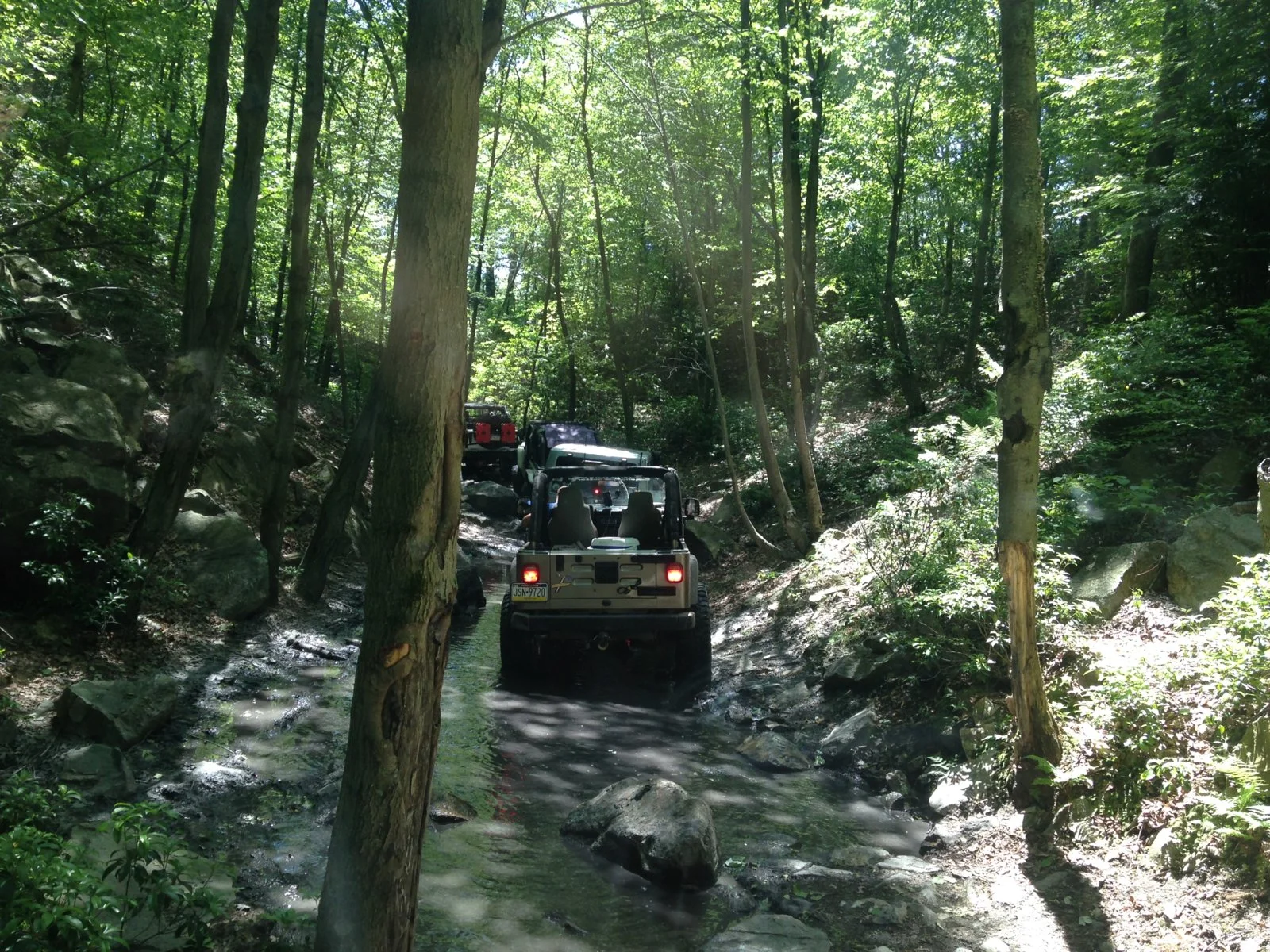 Rausch Creek 025.webp
