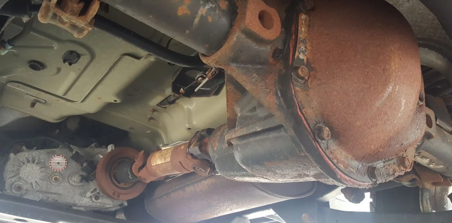 Rear diff.webp