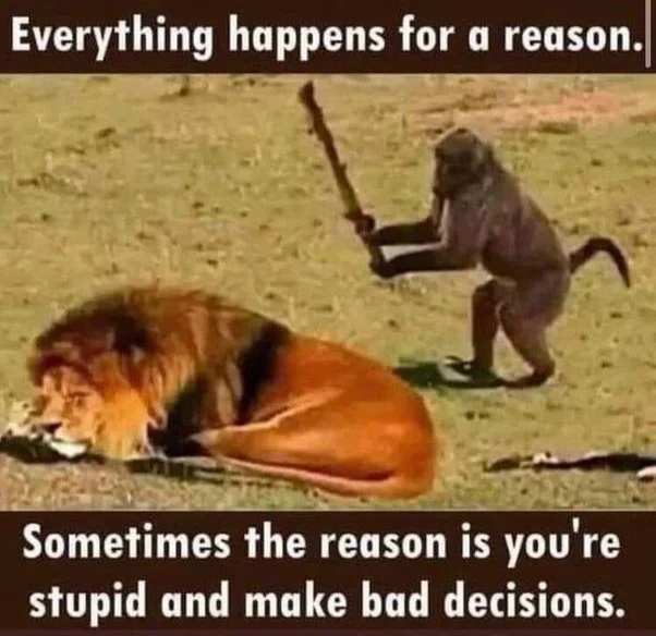 Reasons.webp