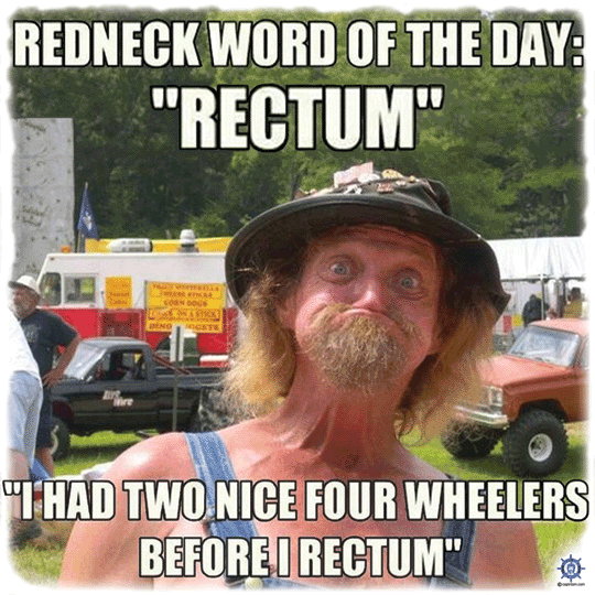 rectum.gif