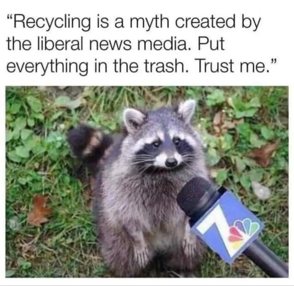 Recycle.webp