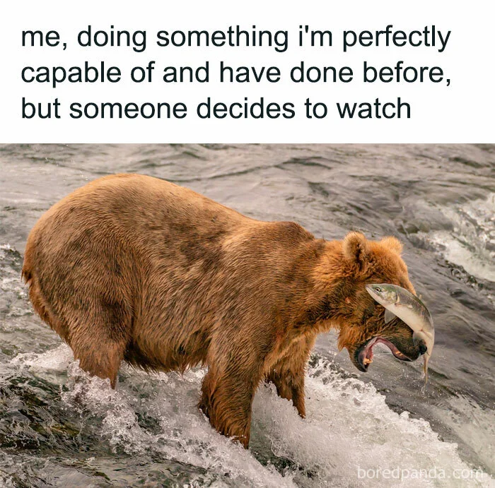relatable-jokes-139-60197366d707c__700.webp