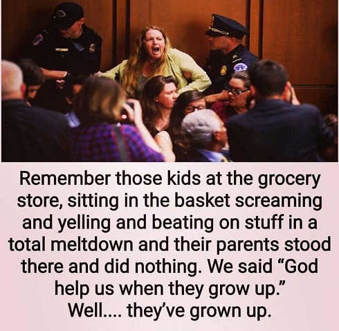remember-kids-in-store-throwing-tantrum-parents-did-nothing-help-us-when-grow-up-protesters.jpg
