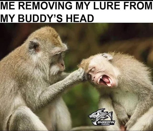 Removing Lure.webp